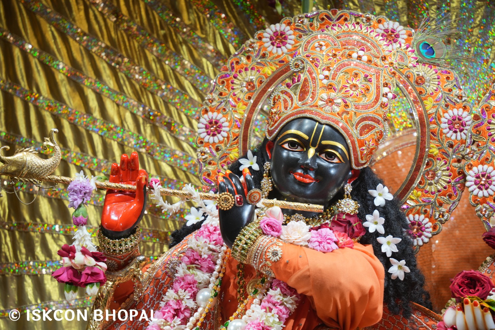 WhatsApp Image 2026-01-05 at 8.34.42 AM (3)