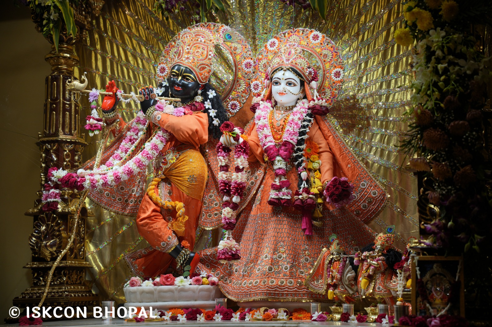 WhatsApp Image 2026-01-05 at 8.34.42 AM (4)