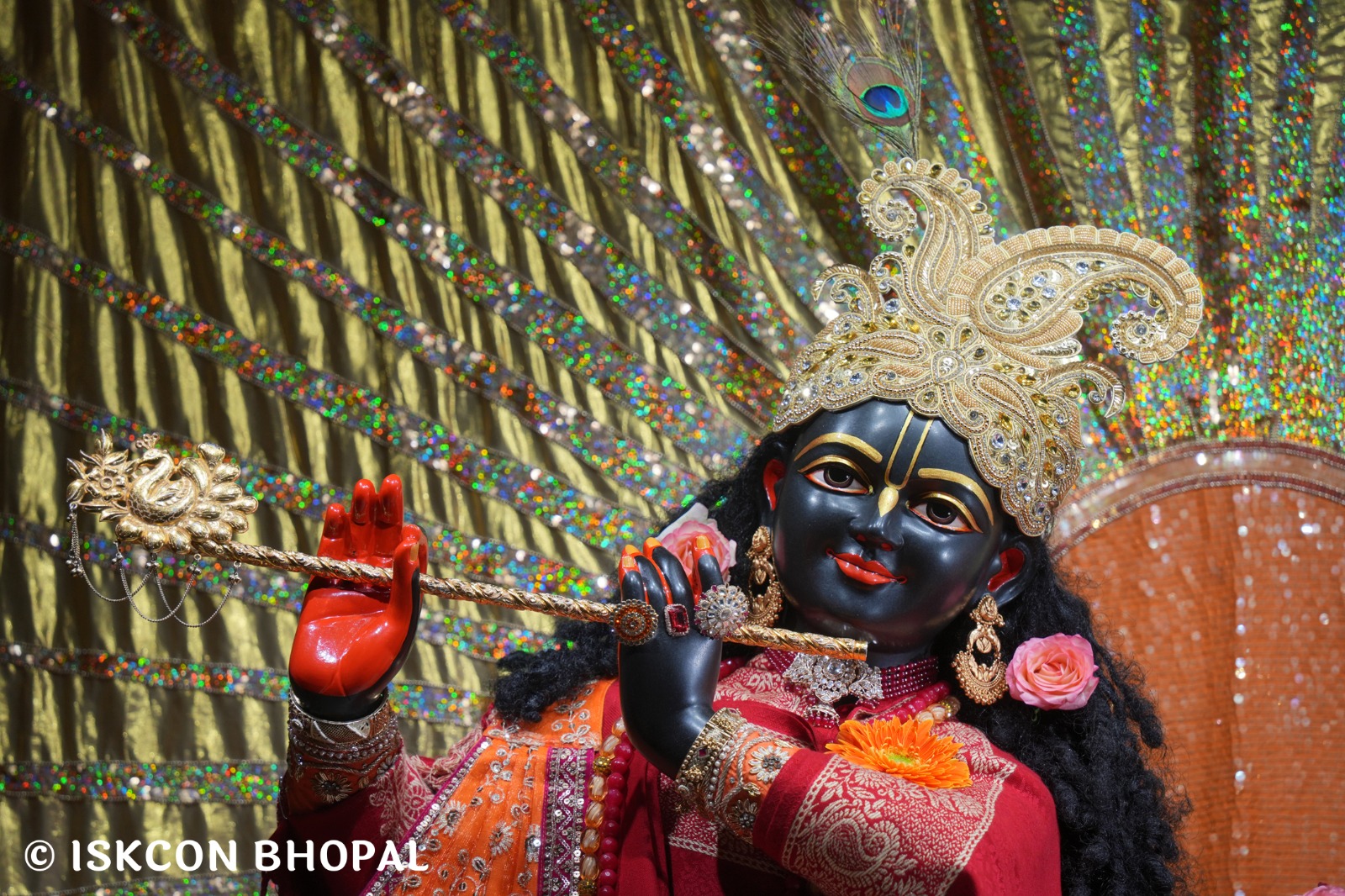 WhatsApp Image 2026-01-06 at 7.10.39 AM (3)