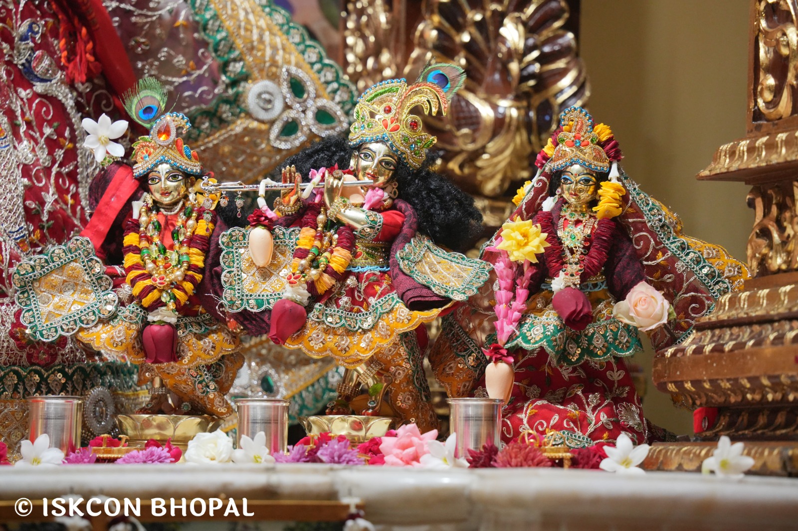 WhatsApp Image 2026-01-06 at 7.54.25 AM