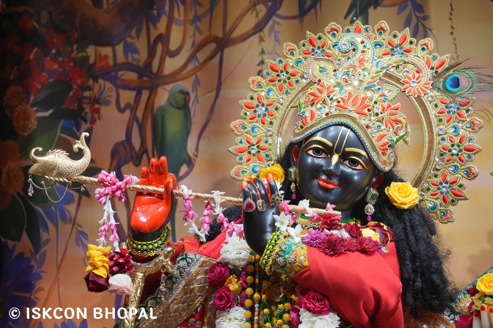 WhatsApp Image 2026-01-06 at 7.54.26 AM (1)