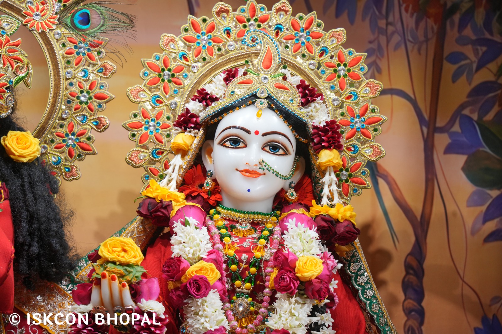 WhatsApp Image 2026-01-06 at 7.54.26 AM