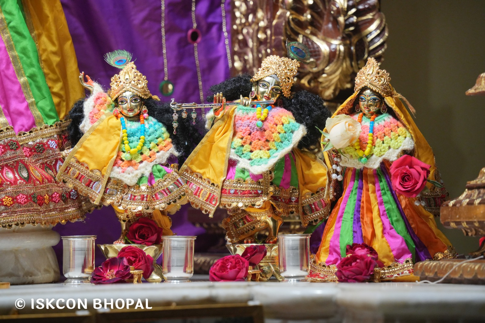 WhatsApp Image 2026-01-08 at 7.44.04 AM (4)