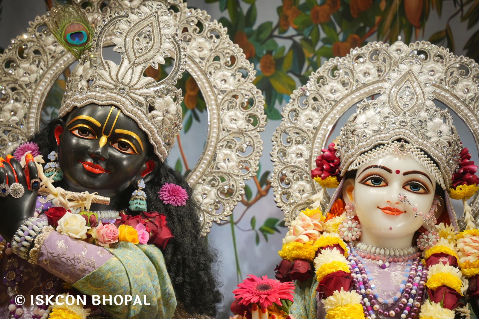 WhatsApp Image 2026-01-08 at 7.45.06 AM (1)