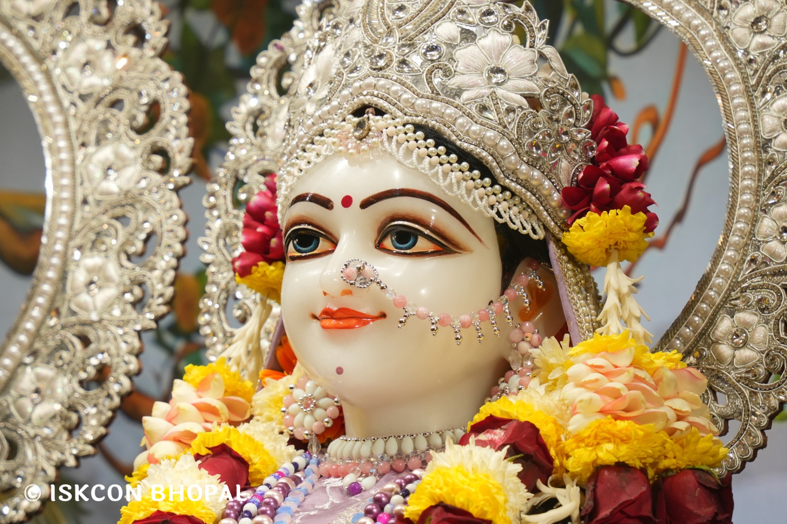 WhatsApp Image 2026-01-08 at 7.45.06 AM (2)