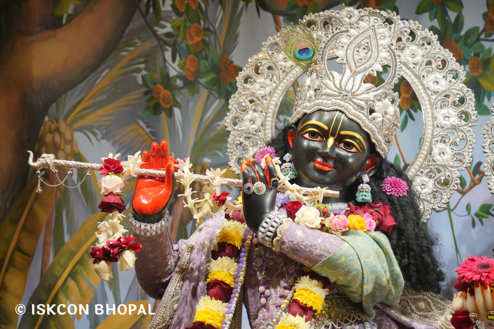 WhatsApp Image 2026-01-08 at 7.45.06 AM (4)