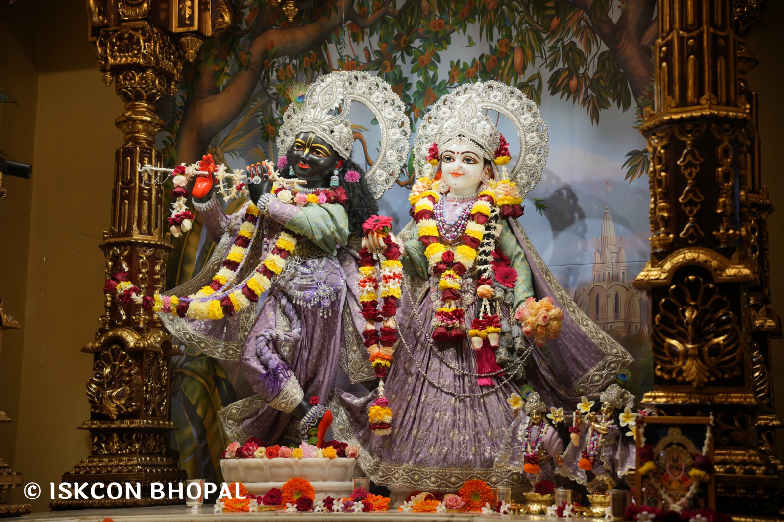 WhatsApp Image 2026-01-08 at 7.45.07 AM (2)