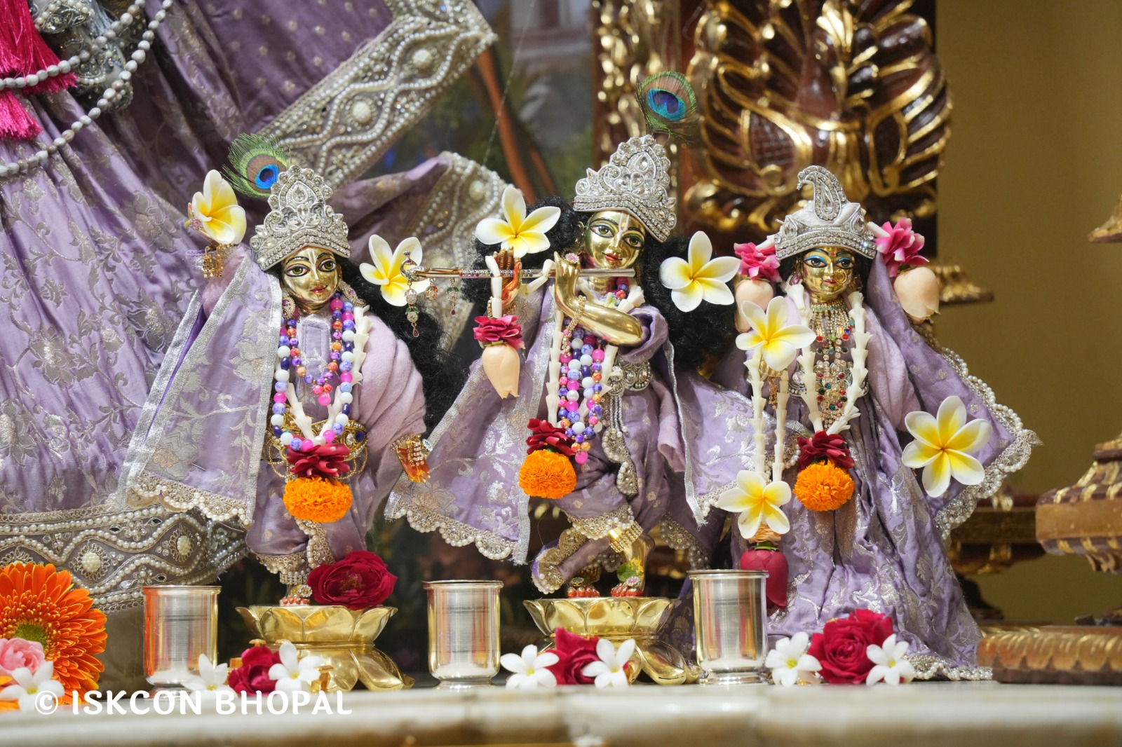 WhatsApp Image 2026-01-08 at 7.45.07 AM (3)