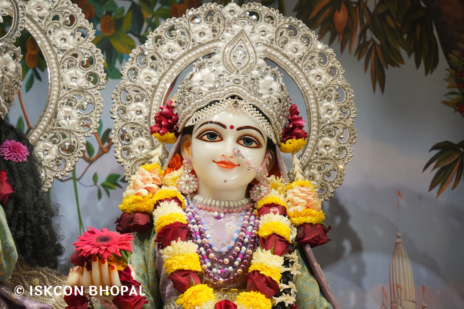 WhatsApp Image 2026-01-08 at 7.45.07 AM