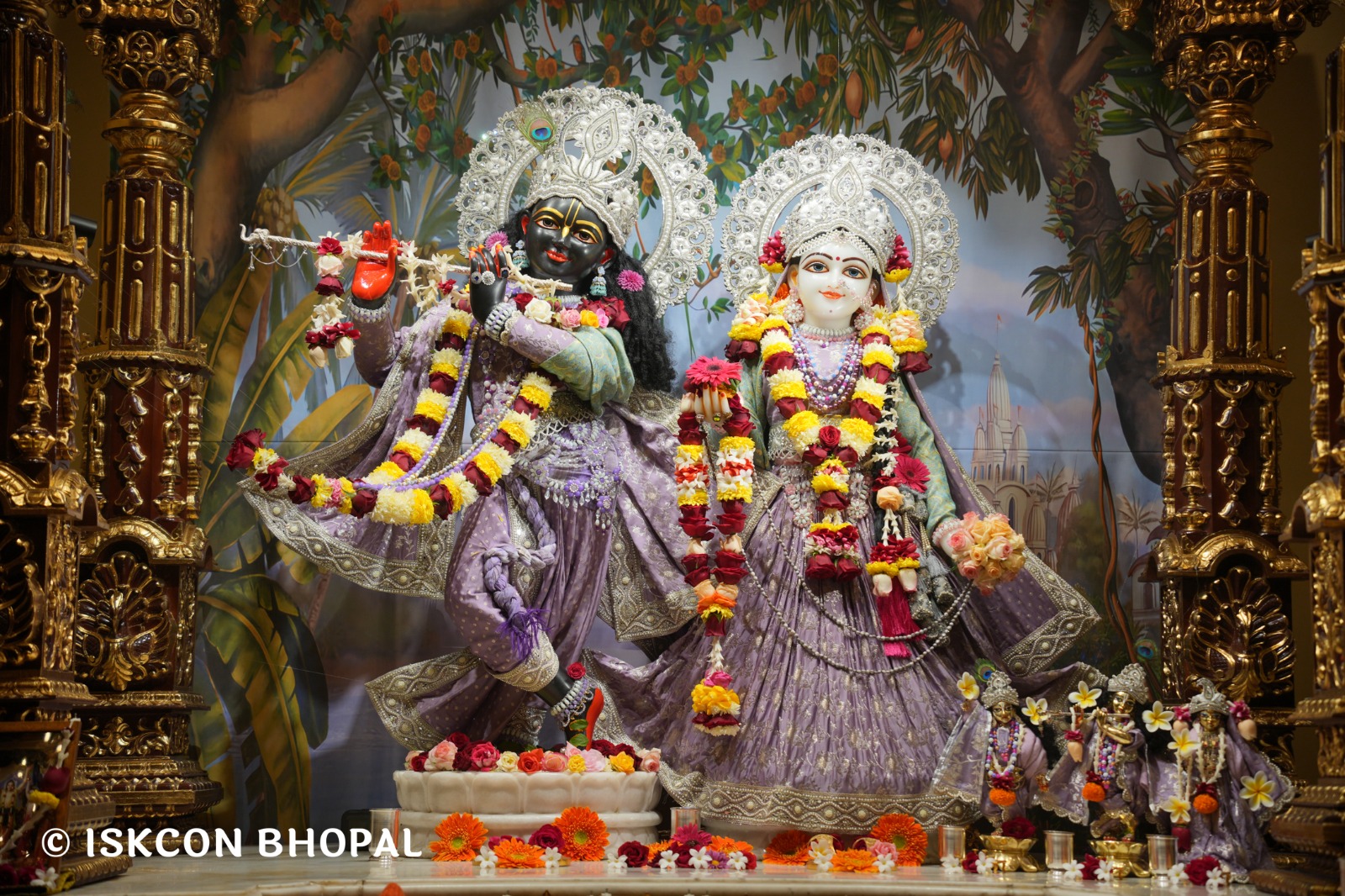 WhatsApp Image 2026-01-08 at 7.45.08 AM (1)