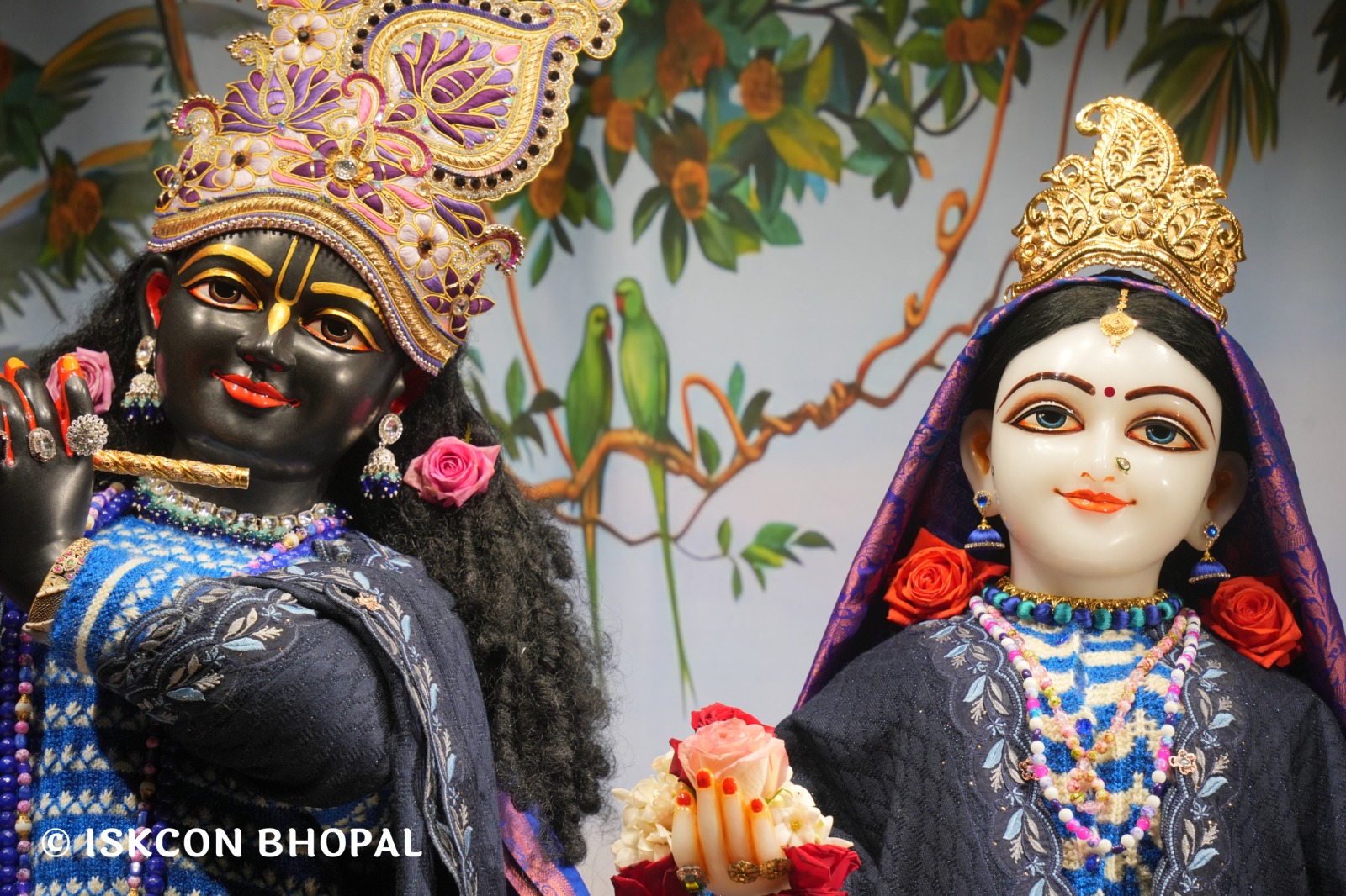 WhatsApp Image 2026-01-09 at 7.09.08 AM (1)