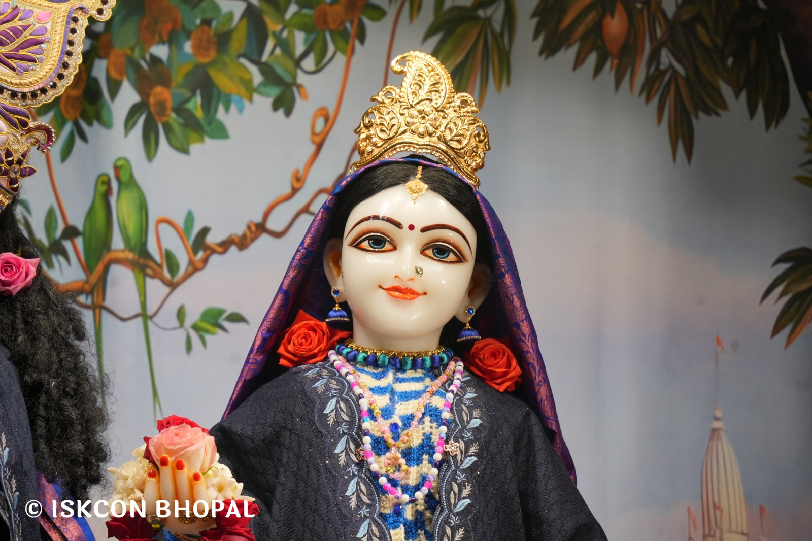 WhatsApp Image 2026-01-09 at 7.09.09 AM