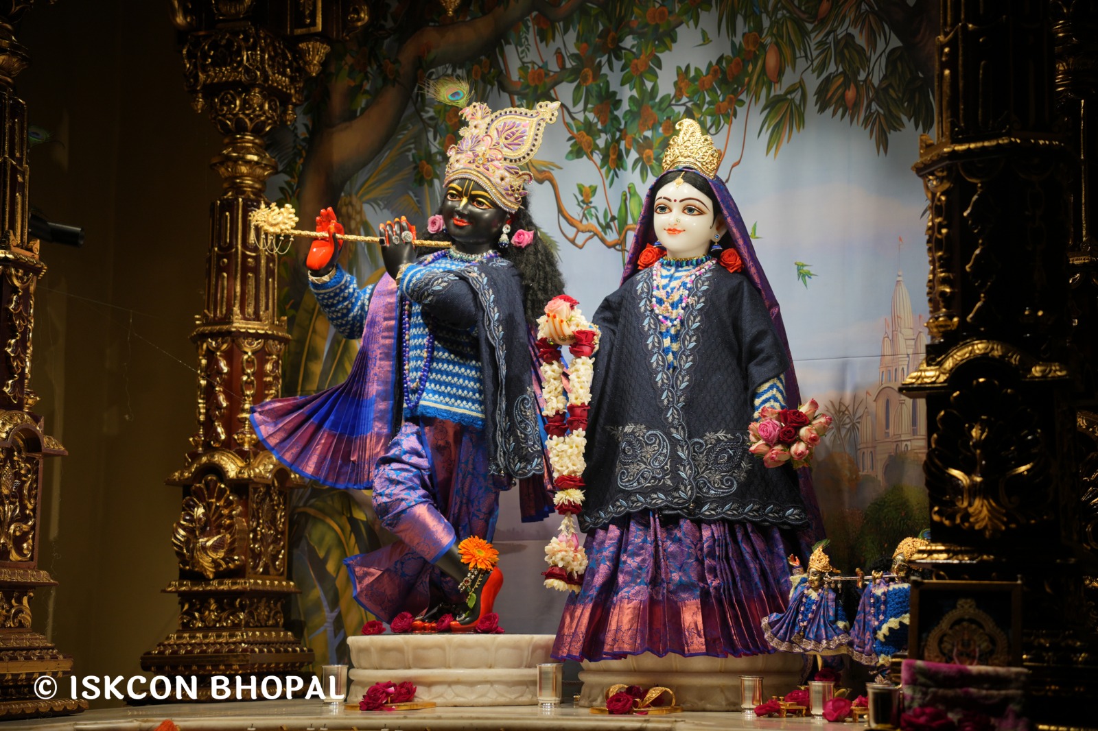 WhatsApp Image 2026-01-09 at 7.09.10 AM