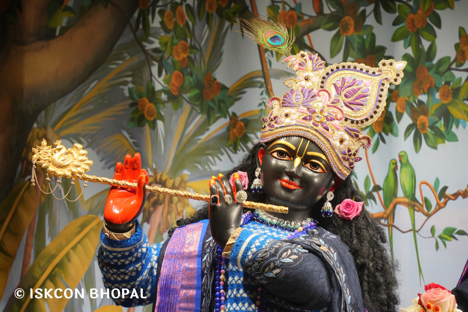 WhatsApp Image 2026-01-09 at 7.09.11 AM (1)