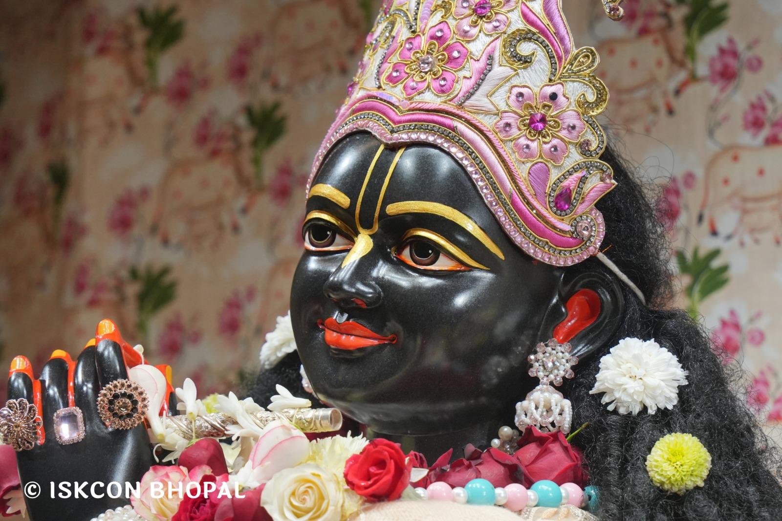 WhatsApp Image 2026-01-09 at 7.56.57 AM (1)