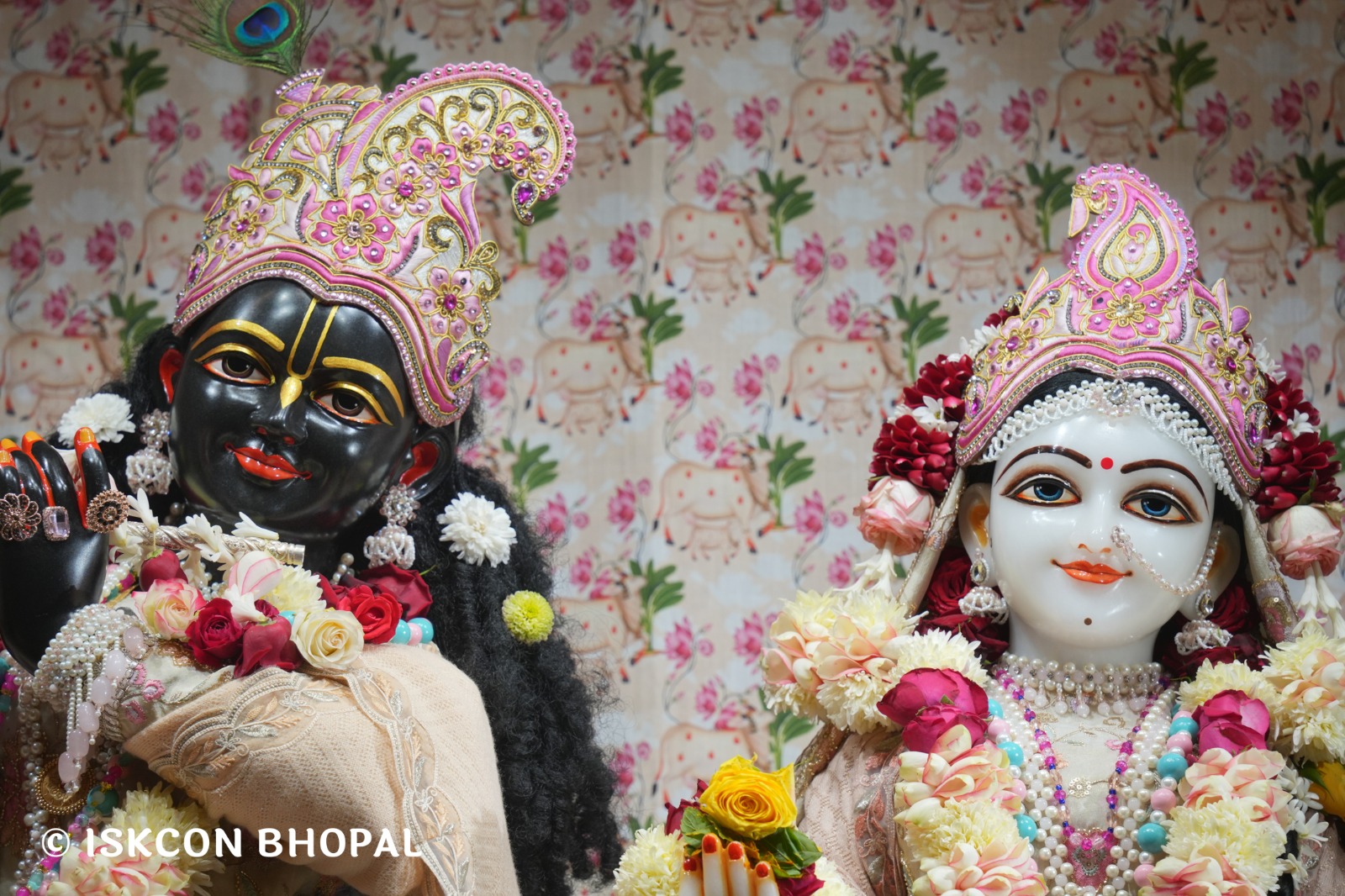 WhatsApp Image 2026-01-09 at 7.56.57 AM (2)