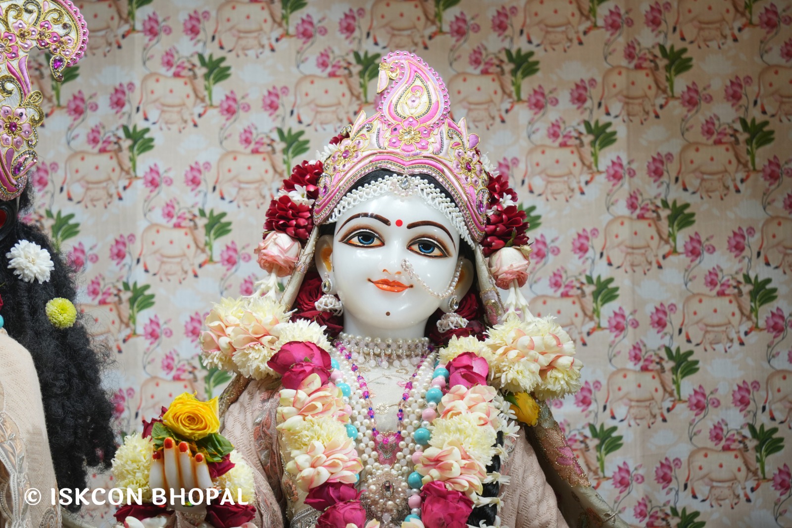 WhatsApp Image 2026-01-09 at 7.56.57 AM (4)