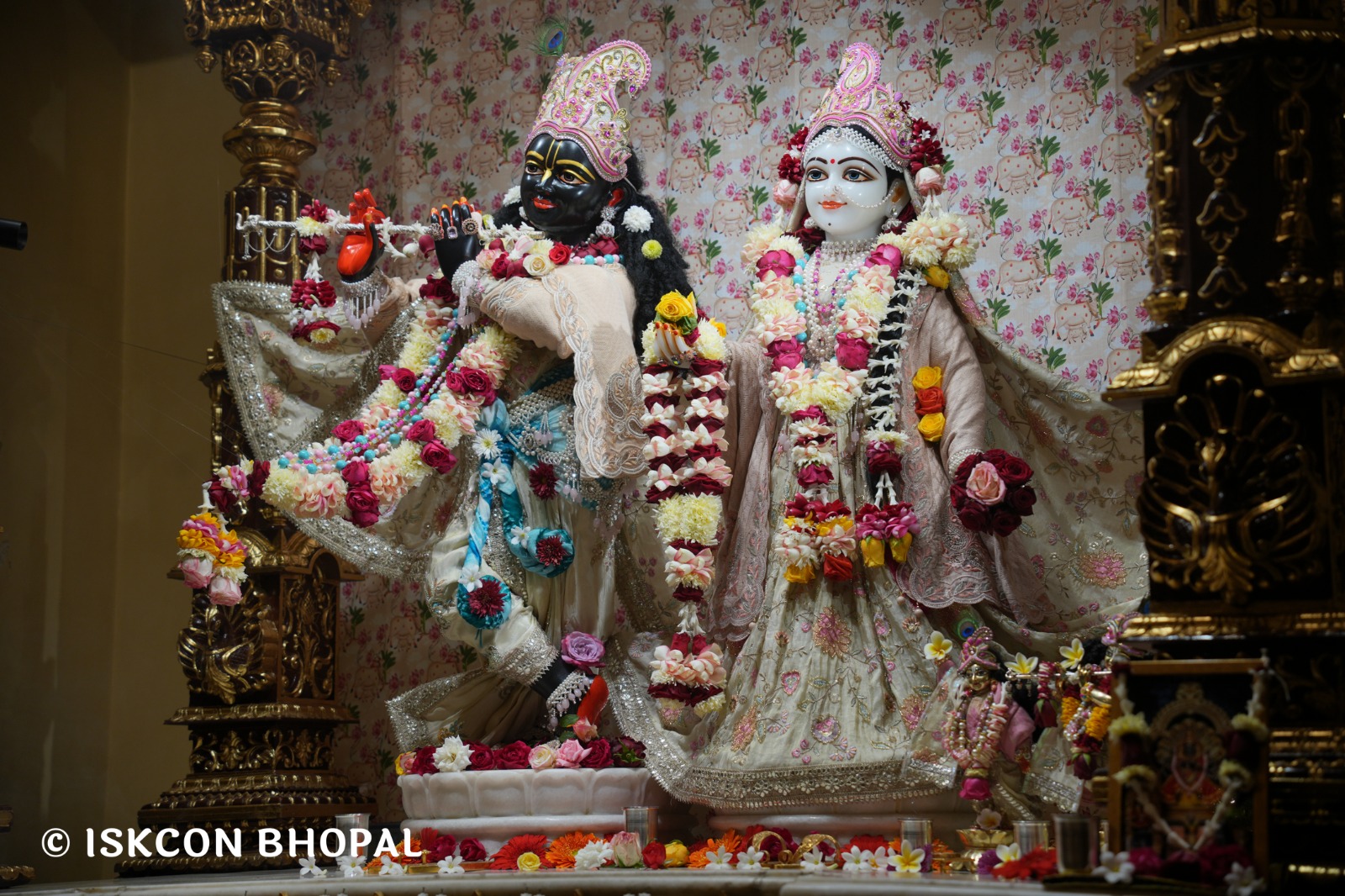 WhatsApp Image 2026-01-09 at 7.56.57 AM