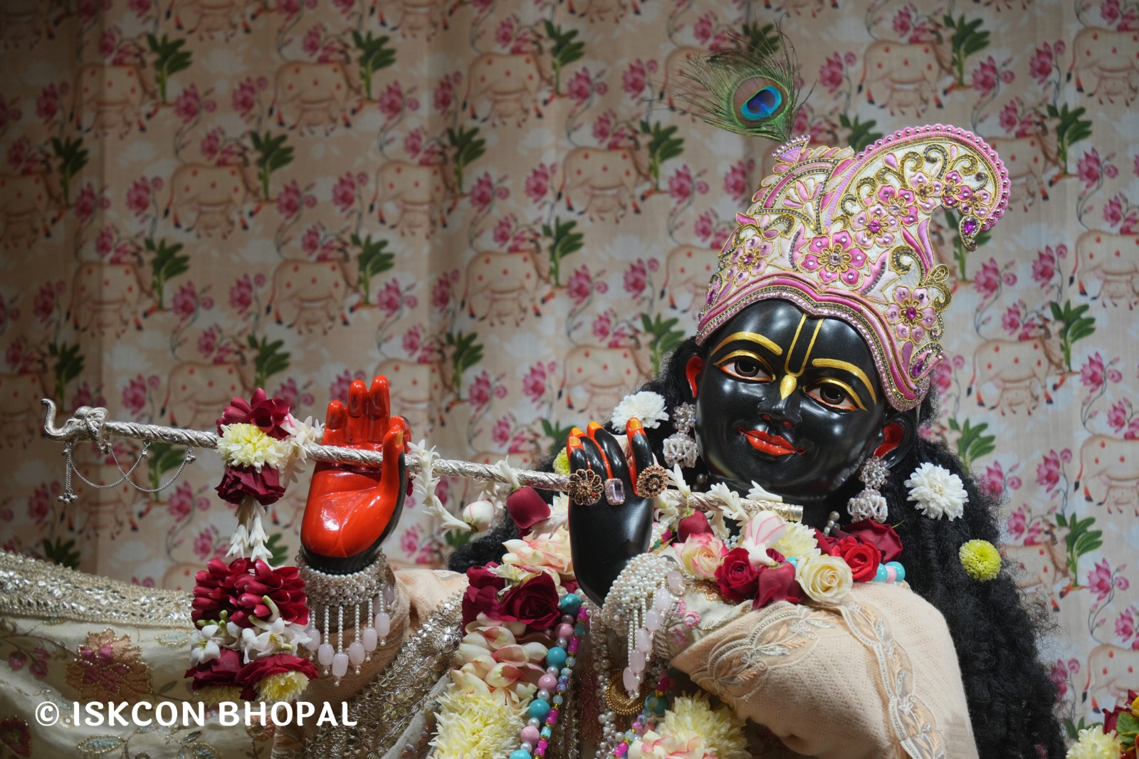 WhatsApp Image 2026-01-09 at 7.56.58 AM (1)