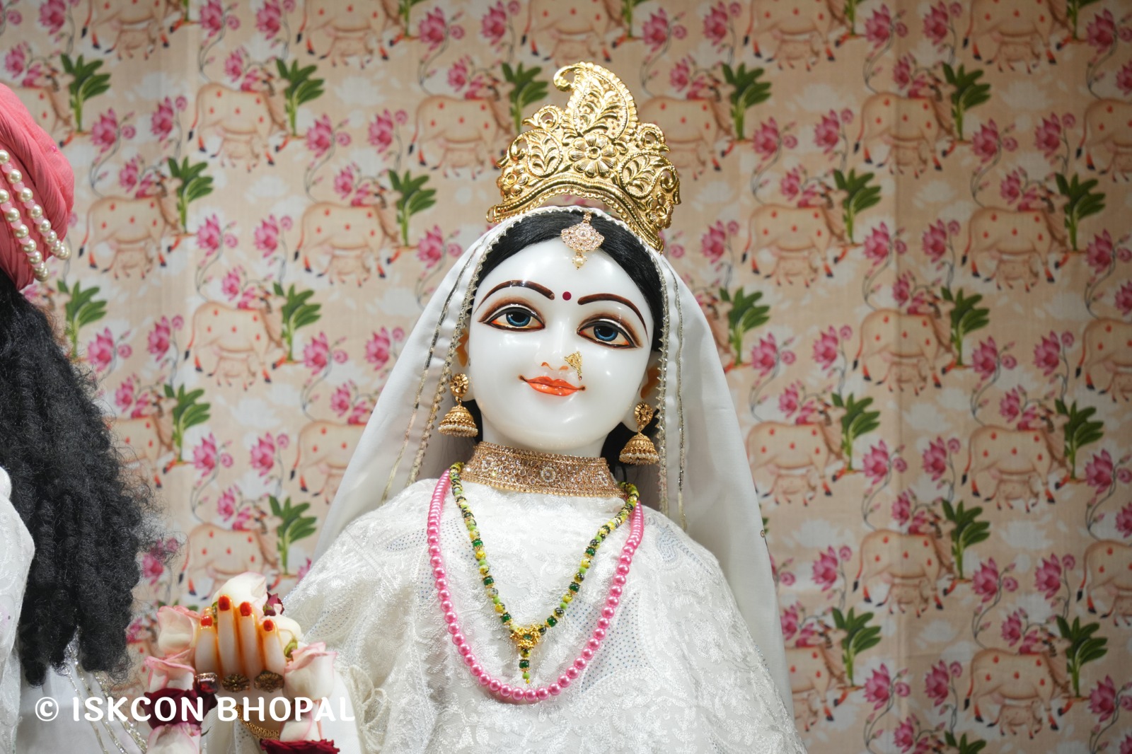 WhatsApp Image 2026-01-10 at 11.50.20 AM (2)