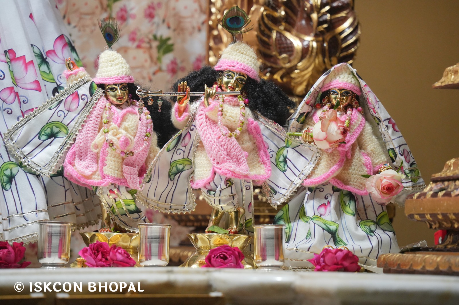 WhatsApp Image 2026-01-10 at 11.50.20 AM (3)