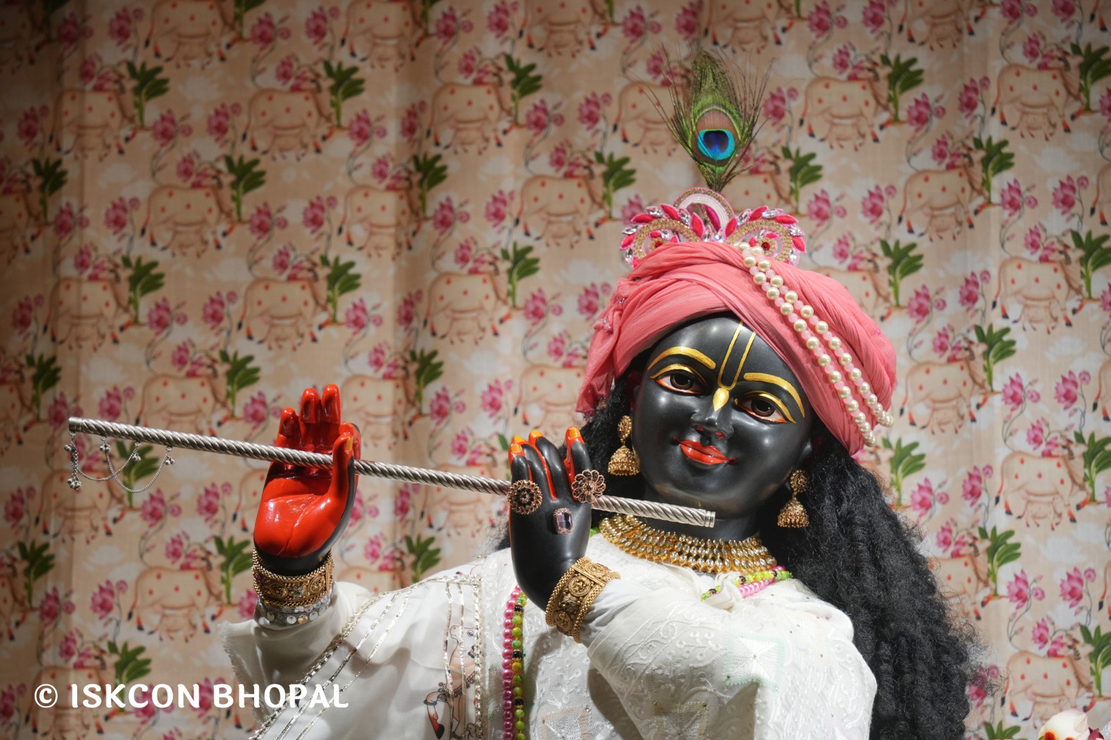 WhatsApp Image 2026-01-10 at 11.50.20 AM (4)