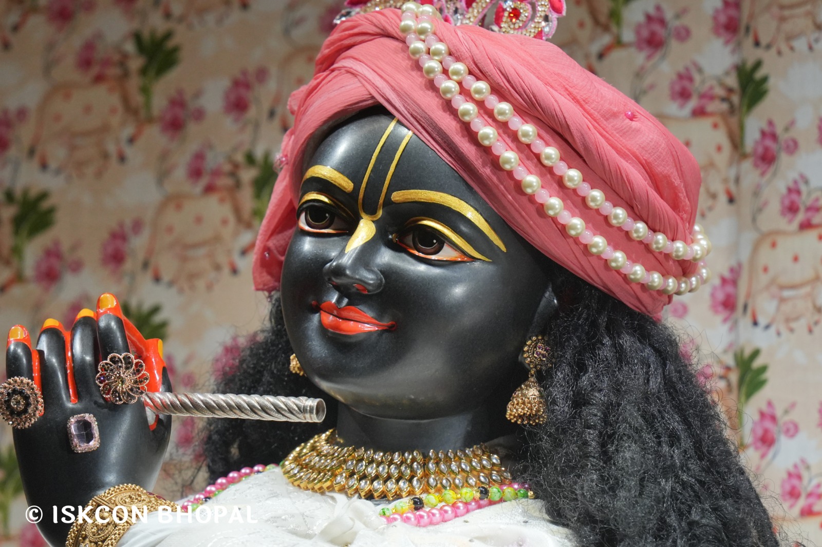 WhatsApp Image 2026-01-10 at 11.50.21 AM (1)