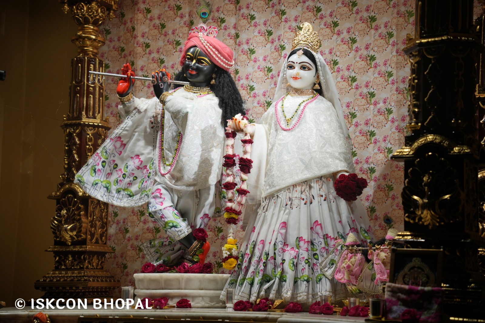 WhatsApp Image 2026-01-10 at 11.50.21 AM (2)