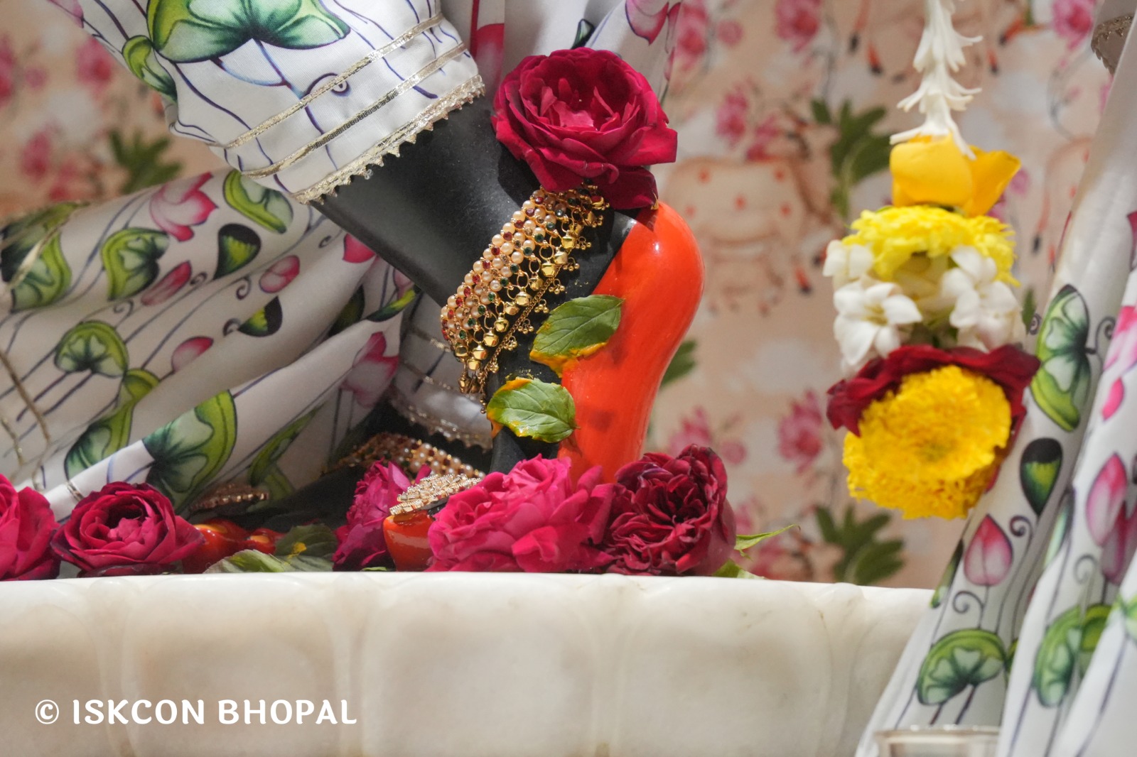 WhatsApp Image 2026-01-10 at 11.50.21 AM