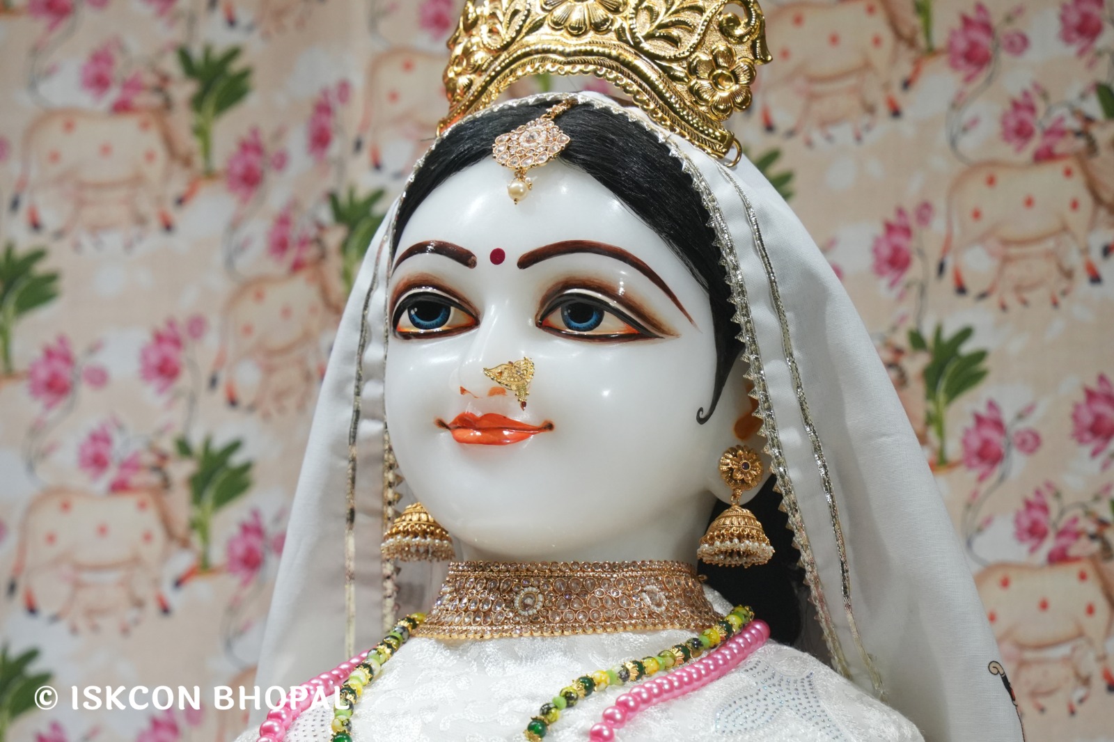 WhatsApp Image 2026-01-10 at 11.50.22 AM (1)