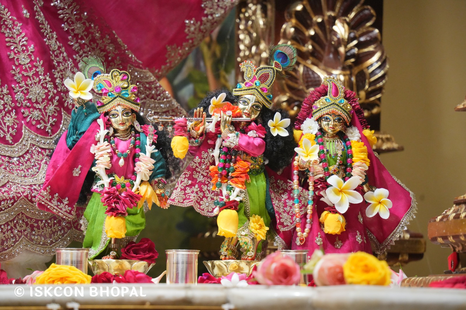 WhatsApp Image 2026-01-10 at 11.51.58 AM