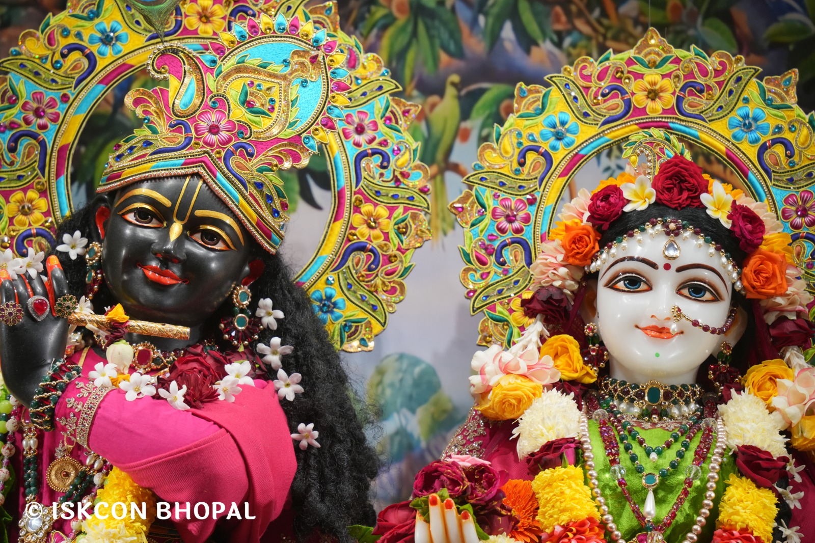 WhatsApp Image 2026-01-10 at 11.51.59 AM (2)