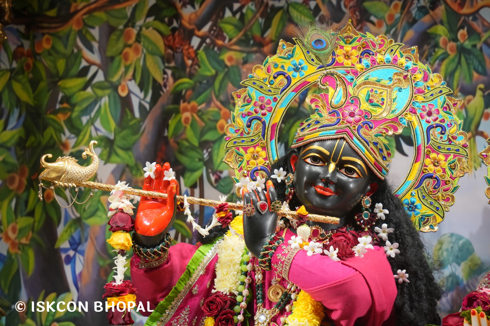 WhatsApp Image 2026-01-10 at 11.51.59 AM