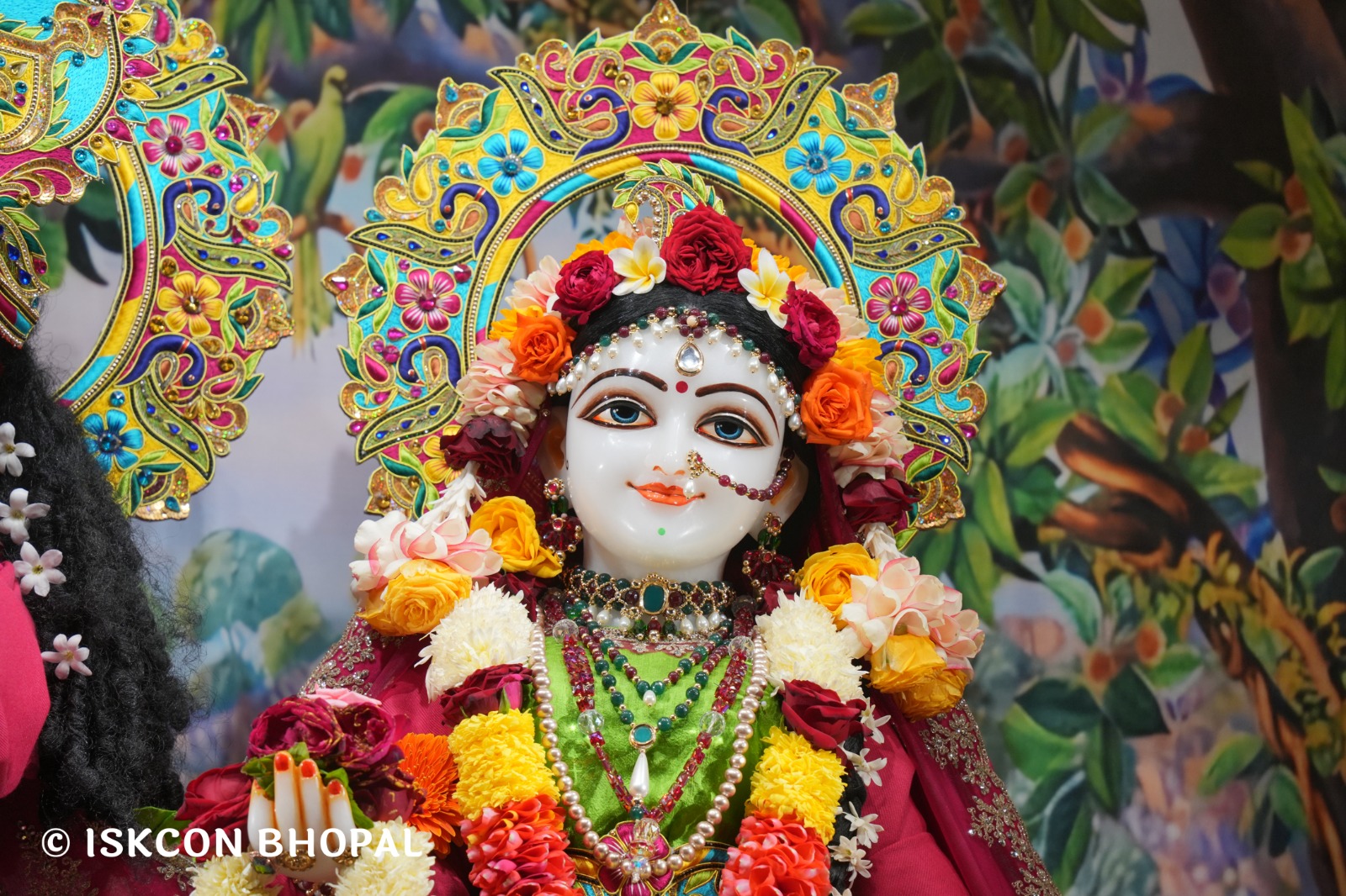 WhatsApp Image 2026-01-10 at 11.52.00 AM (1)