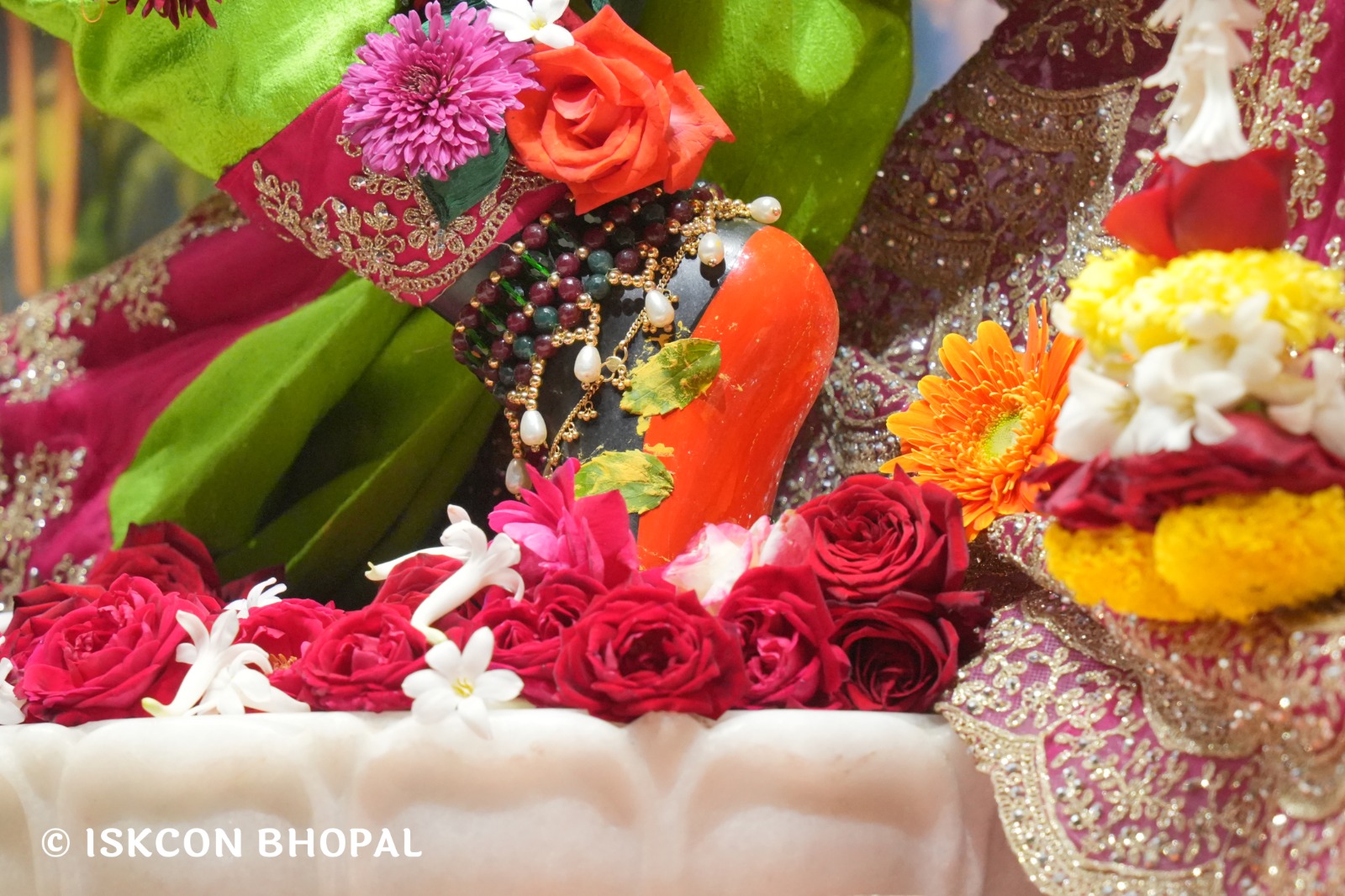 WhatsApp Image 2026-01-10 at 11.52.00 AM (3)