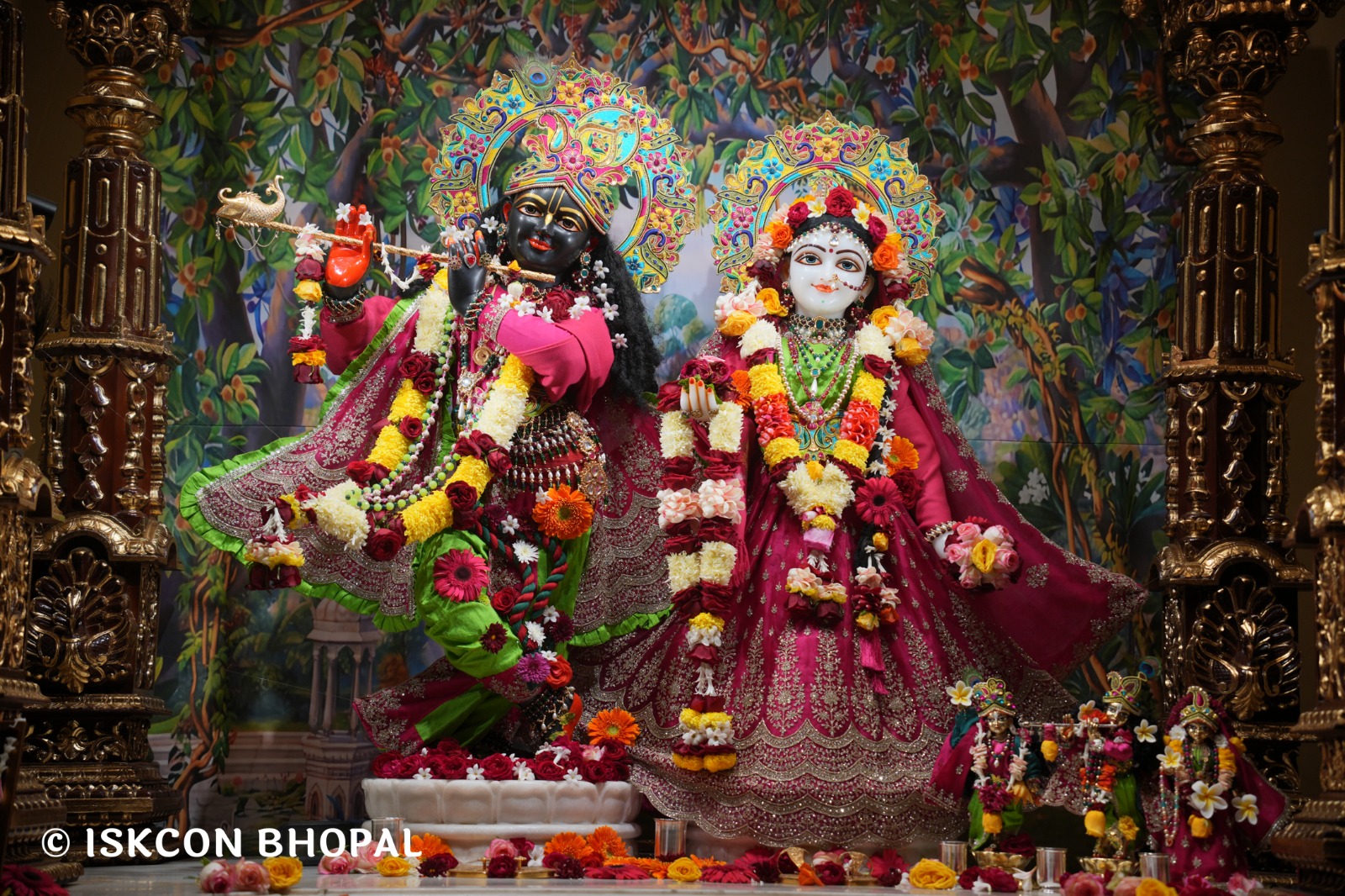 WhatsApp Image 2026-01-10 at 11.52.00 AM