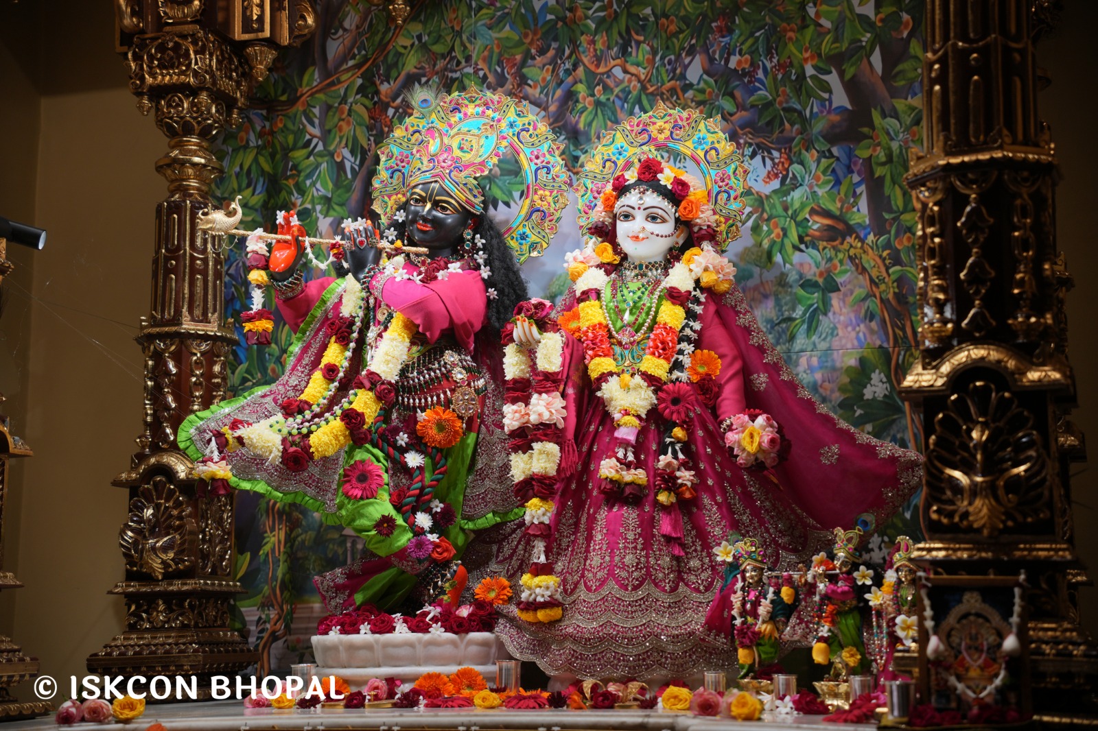 WhatsApp Image 2026-01-10 at 11.52.01 AM (1)