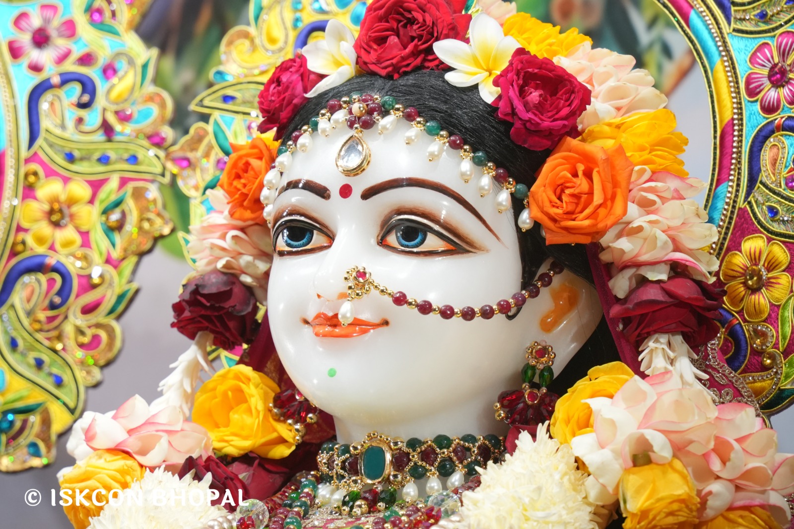 WhatsApp Image 2026-01-10 at 11.52.01 AM