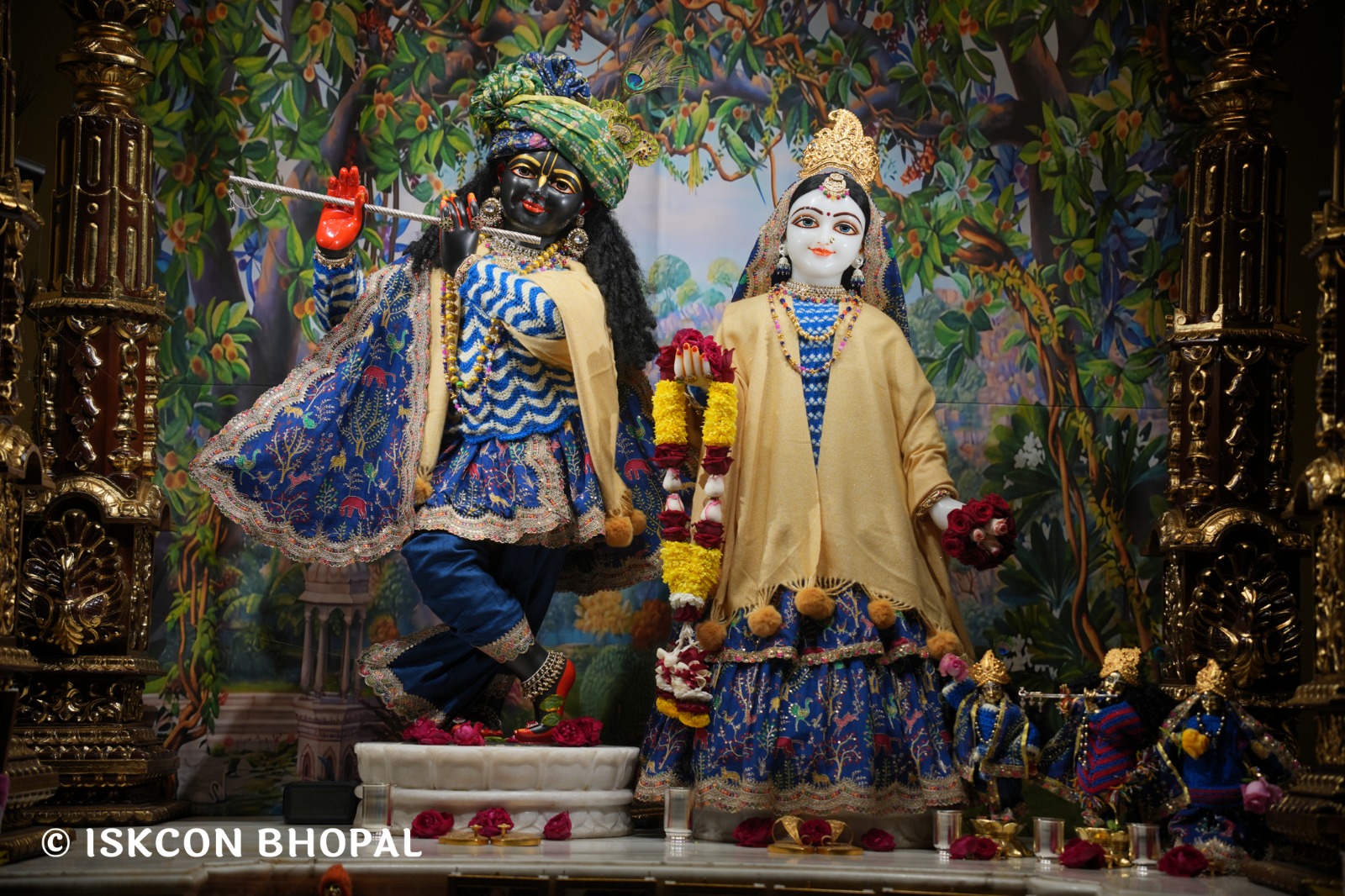 WhatsApp Image 2026-01-11 at 7.13.19 AM (1)