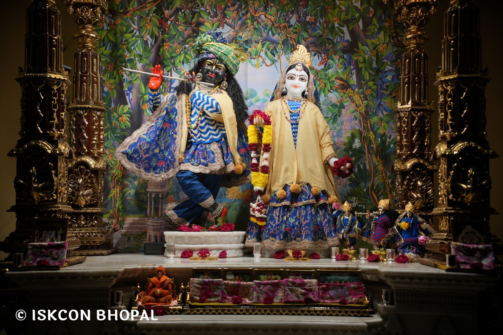 WhatsApp Image 2026-01-11 at 7.13.19 AM