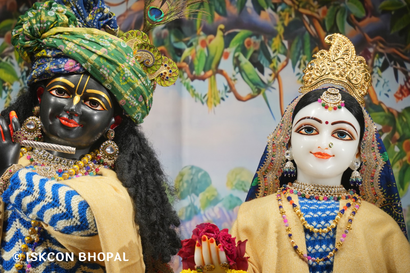 WhatsApp Image 2026-01-11 at 7.13.20 AM (1)