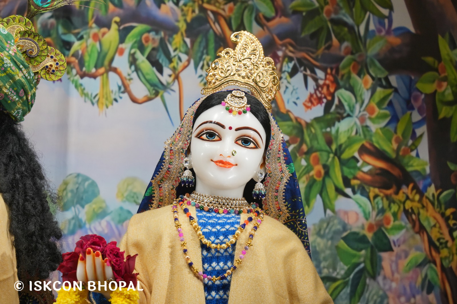 WhatsApp Image 2026-01-11 at 7.13.20 AM (2)