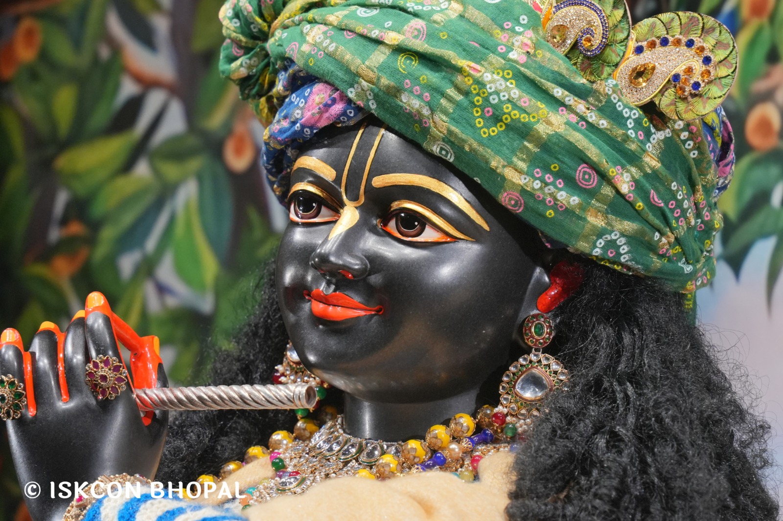 WhatsApp Image 2026-01-11 at 7.13.21 AM (1)