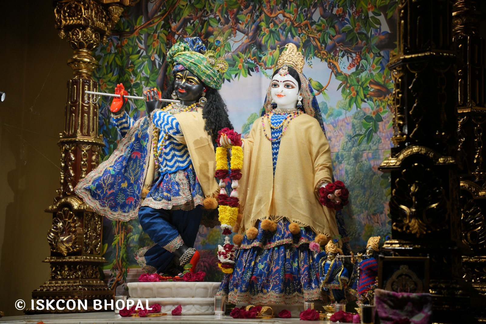 WhatsApp Image 2026-01-11 at 7.13.21 AM (3)