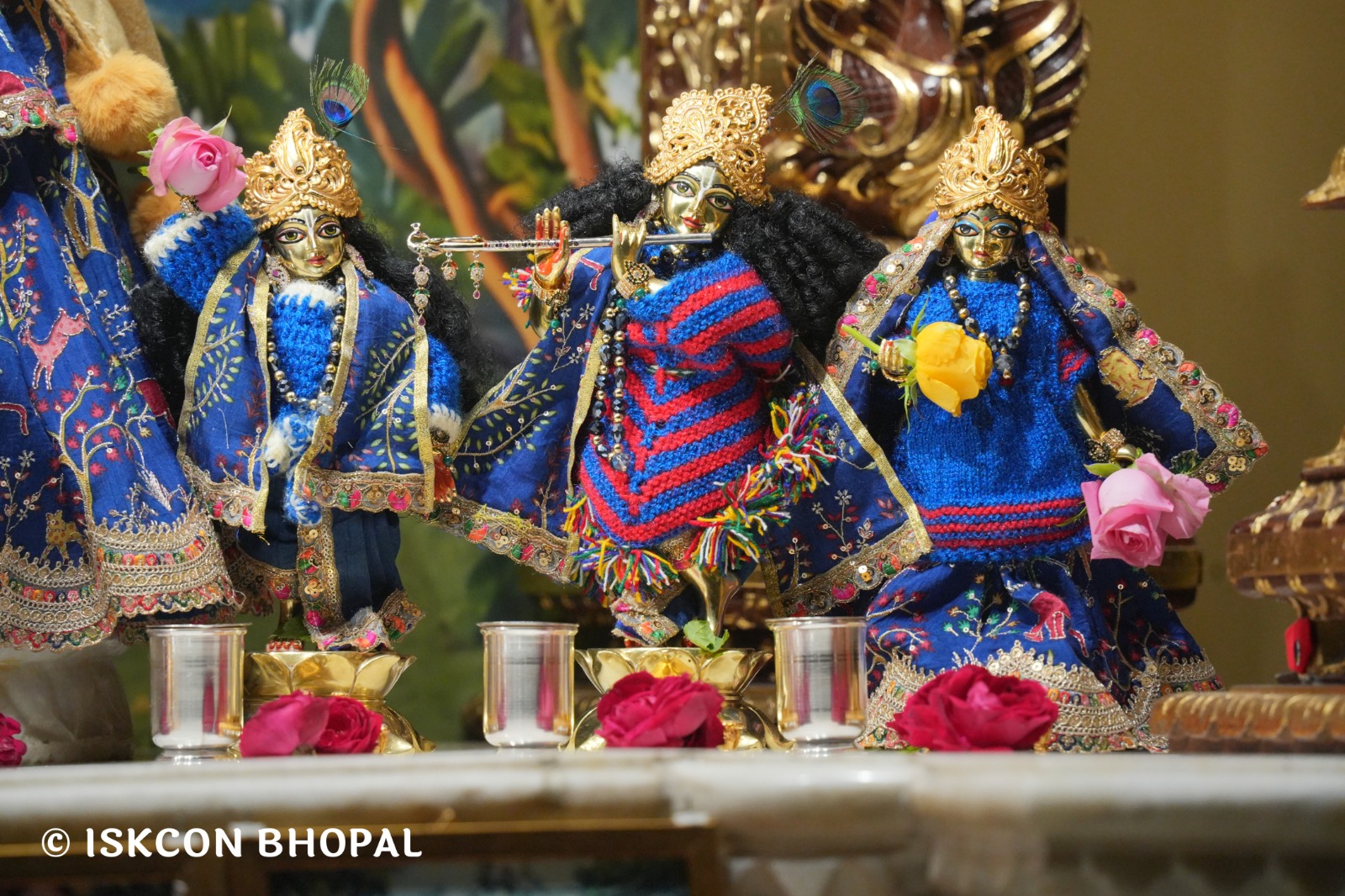 WhatsApp Image 2026-01-11 at 7.13.21 AM