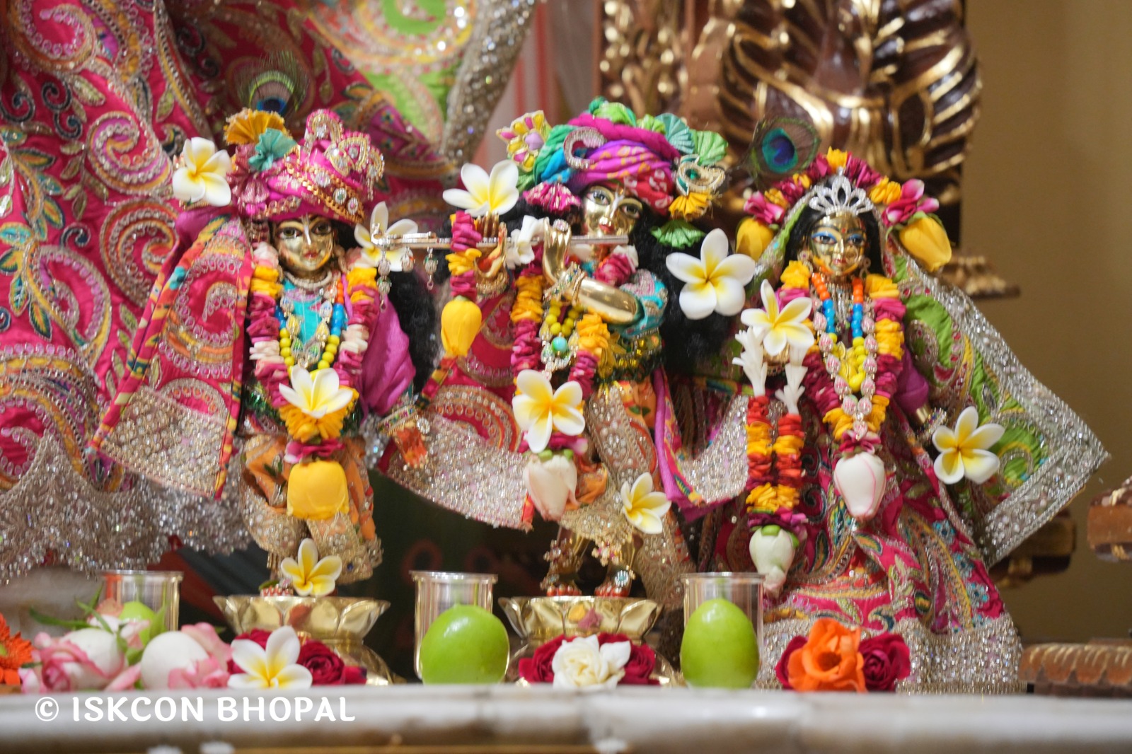 WhatsApp Image 2026-01-11 at 8.28.47 AM