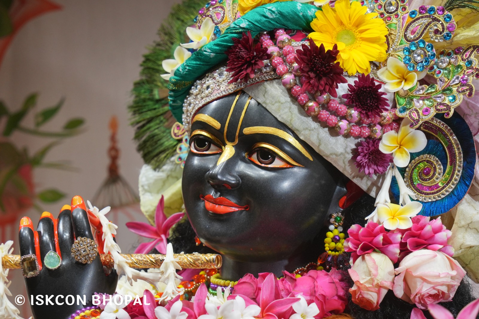 WhatsApp Image 2026-01-11 at 8.28.48 AM (2)