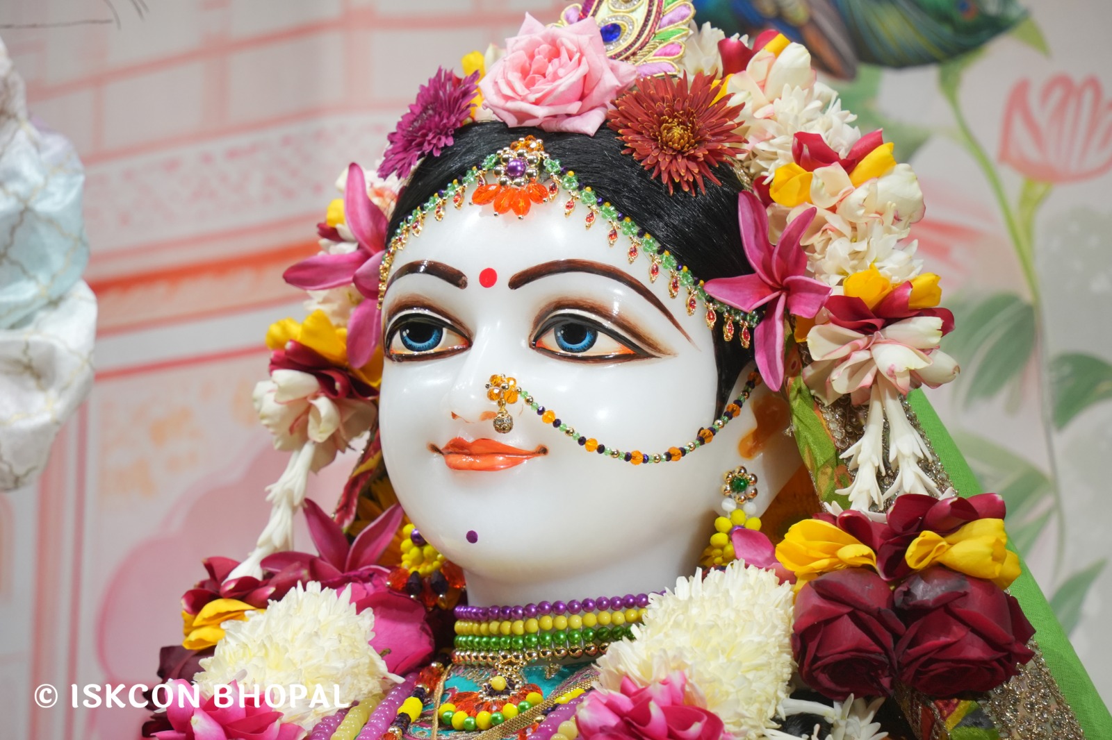 WhatsApp Image 2026-01-11 at 8.28.48 AM (3)