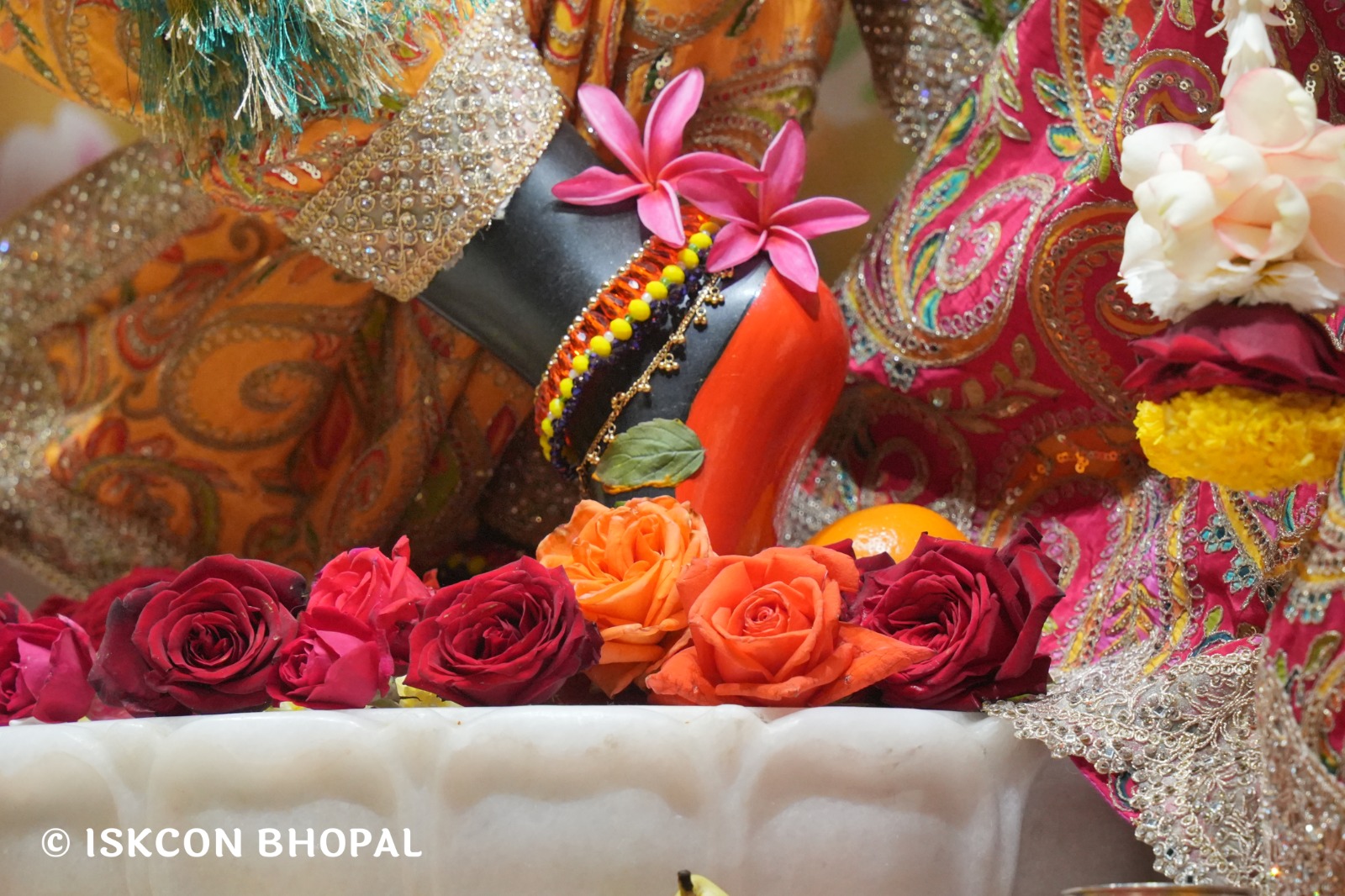 WhatsApp Image 2026-01-11 at 8.28.48 AM