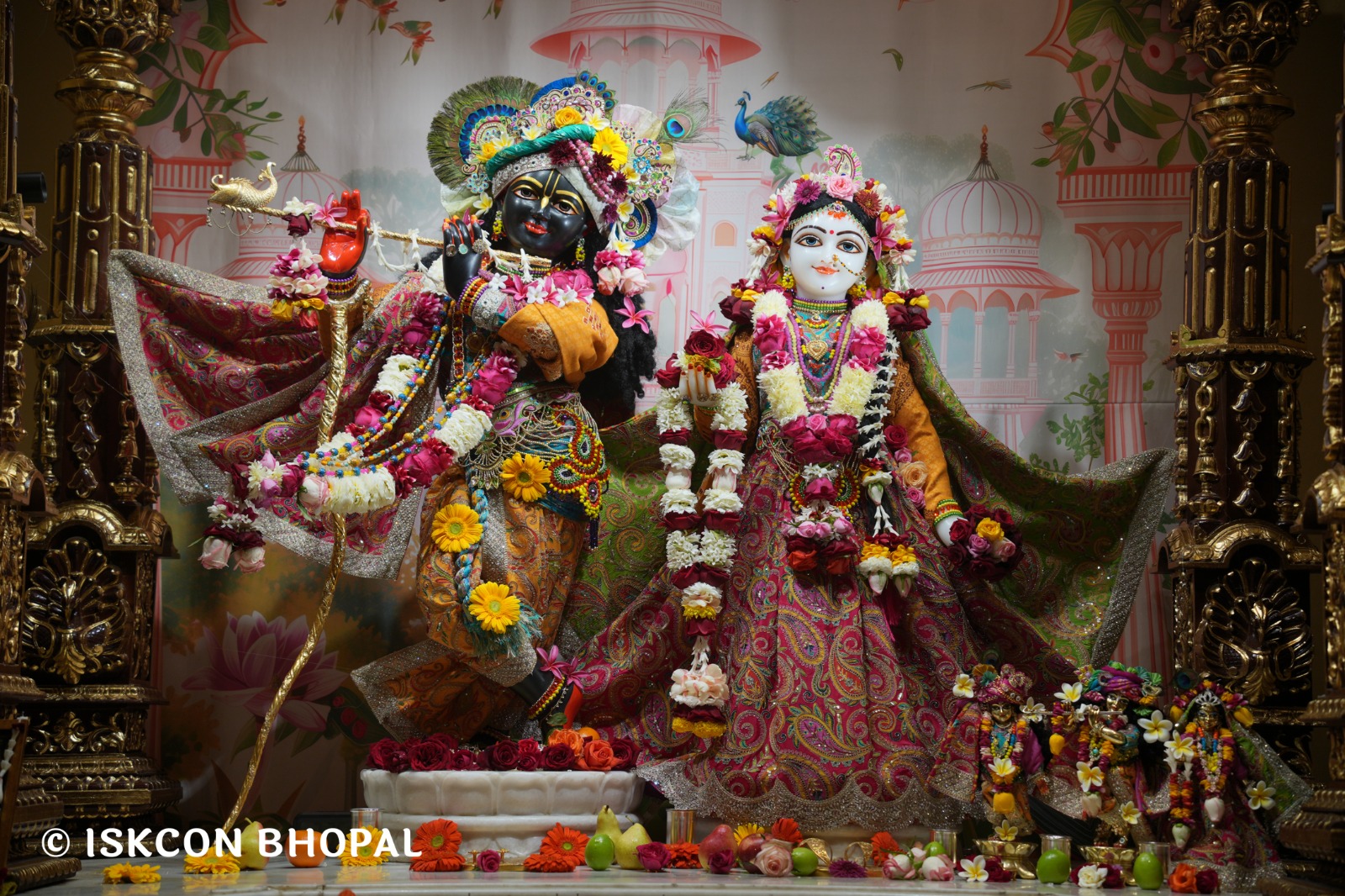 WhatsApp Image 2026-01-11 at 8.28.49 AM (2)